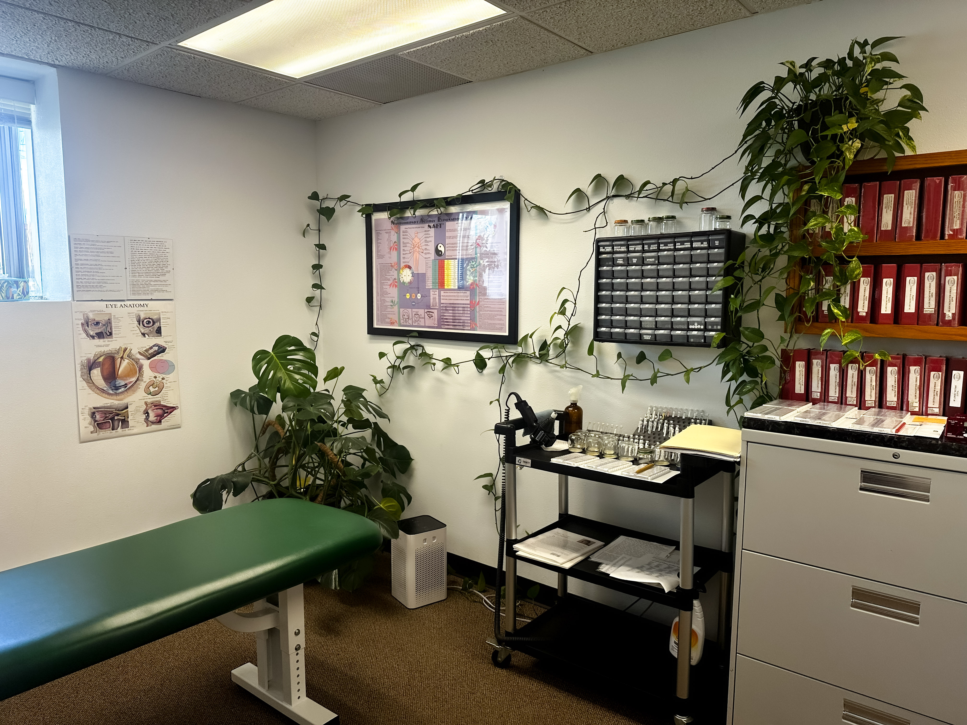 DMC Healing treatment room